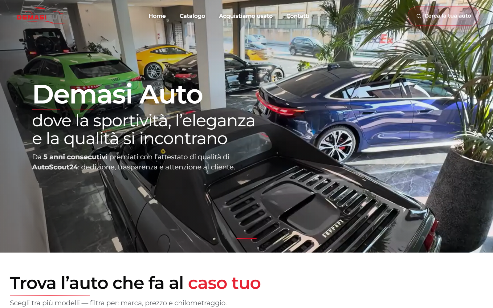 Copertina sito demasi auto